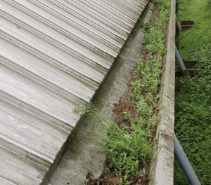 Happy customers in Lightwater who trust The Roof Moss Cleaners for gutter cleaning services