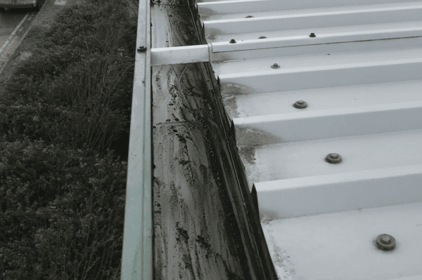 Commercial gutter cleaning specialists in Lightwater